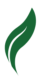 HOJA